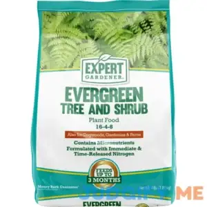 Expert Gardener Evergreen Tree Shrub Plant Food