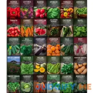 Survival Garden Seeds Survival Kit Home Garden Seed Collection