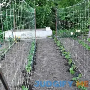 DIY Plant Support Net - Garden Planting Supplies - 5*15ft Climbing Plant Netting