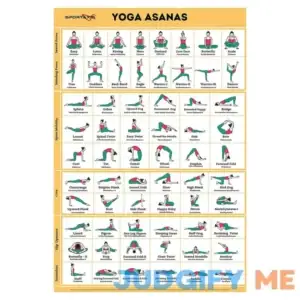 Sportaxis Yoga Poses Poster- 64 Yoga Asanas for Full Body Workout- Laminated Home workout Poster with Colored Illustrations - English and Sanskrit