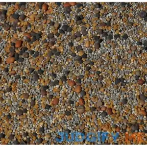 No-till Cover Crop 13-Seed Mix