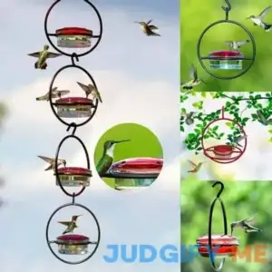 Beautiful Circular Hanging Hummingbird Feeder