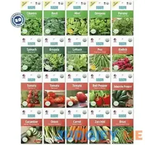 Back to the Roots Organic Herbs and Veggie Seeds Variety Pack