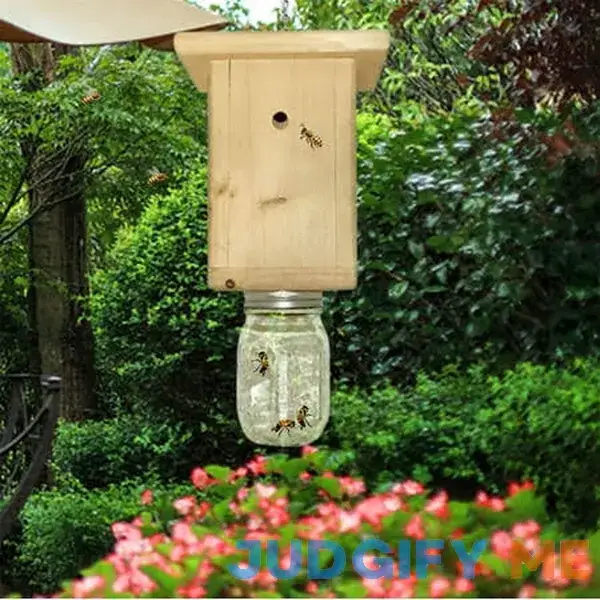 Ikohbadg Wasp Trap Hornets Yellow Jackets Wasp Repellent Trap Bee Catcher Ikohbadg Wasp Trap Hornets Yellow Jackets Wasp Repellent Trap Bee Catcher