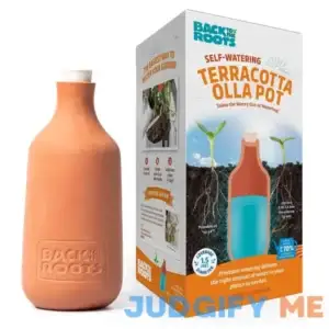 Back to the Roots Self-Watering Terracotta Olla Pot