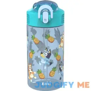 Bluey Antimicrobial 16oz Park Straw Bottle