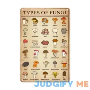 ASoftblak Vintage Types Of Fungi Aluminum Metal Sign