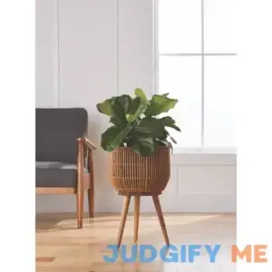 Better Homes & Gardens Round Resin Planter & Stand Set with Wood Legs