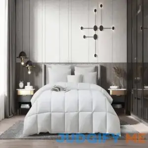 Martha Stewart Down Comforter