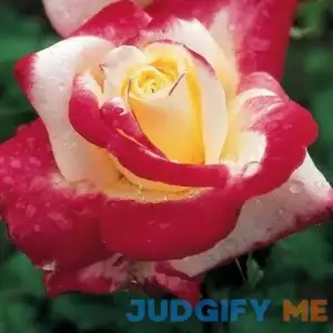 Double Delight Hybrid Tea Rose
