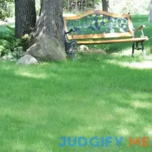 No Mow Lawn Grass Seed