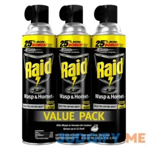 Raid Wasp Hornet Killer