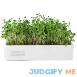 Back to the Roots Organic Mighty Mix Superfoods Microgreens Grow Kit with Ceramic Planter