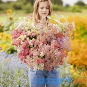 Eden Brothers Yarrow Seeds Colorado Mix