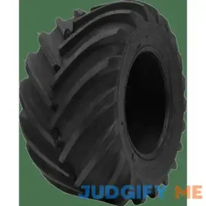 Deestone D405 Tire
