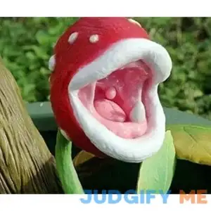 MITRAEE Enchantress Carnivorous Plant Seeds