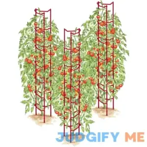 Gardener's Supply Company Tomato Ladders Set of 3