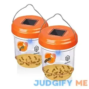 Wasp Traps for Hunting Wasps Bees Hornets Insects Yellow Jacket Traps