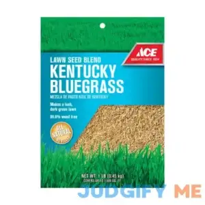 Ace Kentucky Bluegrass Full Sun Lawn Seed Blend