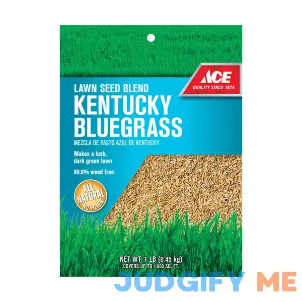 Ace Kentucky Bluegrass Full Sun Lawn Seed Blend Ace Kentucky Bluegrass Full Sun Lawn Seed Blend
