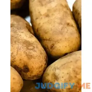 Yukon Gold Seed Potatoes | Holland Bulb Farms