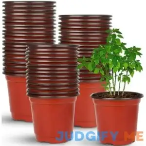 Manunclaims 50 Packs 4 Inches Plastic Plant Nursery Pots with Drainage Holes