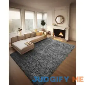 Ophanie Rugs for Bedroom Area Rug Fluffy Shaggy Soft