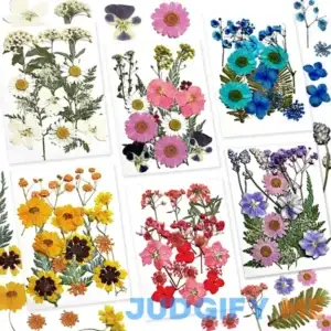 CONVELIFE Dried Flowers for Resin