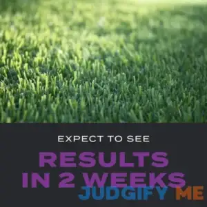 Scotts Turf Builder Southern Triple Action