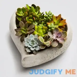Sweet Succulent Heart Garden | Large in Gray - 5.5"H x 6"W by Plants.com