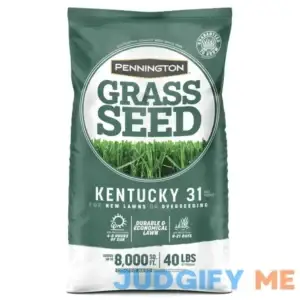 Pennington Kentucky 31 Tall Fescue Grass Seed