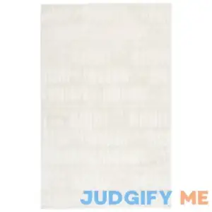 Machine Washable Rug