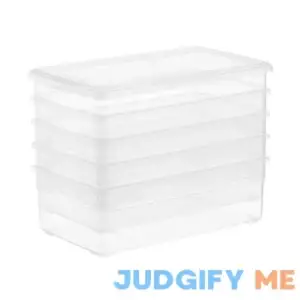 The Container Store Our Shoe Box