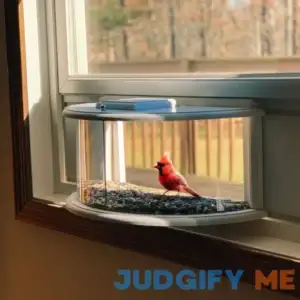 The All-New hiBirdie Window Bird Feeder