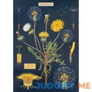 Cavallini & Co. Dandelion Chart Decorative Paper Sheet