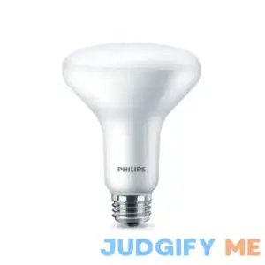 Philips LED Dimmable BR30 Light Bulb