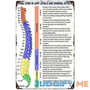 Funny Retro Metal Tin Sign Chiropractor Spinal Cord Injury Levels Wall Decor Art Print Poster Arts Decor Decorative Crafts Best Gift for Birthday