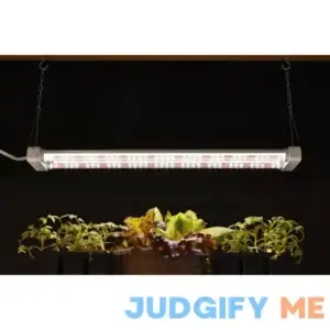 Luminar Everyday 19 Watt