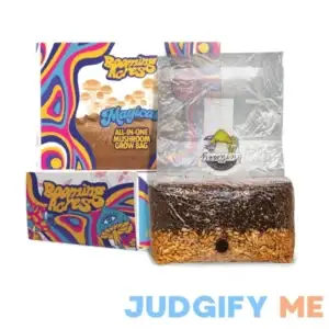 Booming Acres The Magical 5lb All-in-One Mushroom Grow Bag