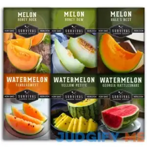 Melon Seed Collection