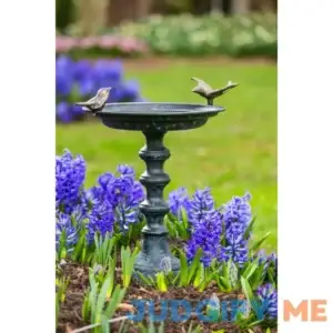 Albermarle Cast Iron Pedestal Birdbath Kelly Clarkson Home