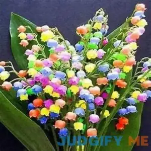 MITRAEE 100 Pcs/Bag Bell Orchid Seeds Flower Campanula Bonsai Flower Seeds