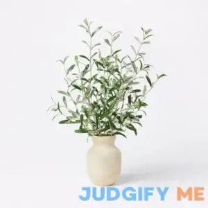 Threshold designed w/Studio McGee Artificial Olive Leaf Arrangement