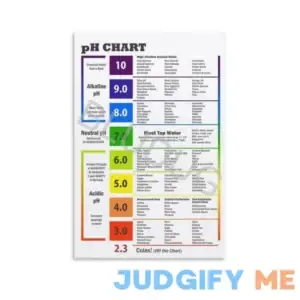 BLUDUG Alkaline Diet Balance Sheet PH Food Chart Poster Canvas Painting Wall Art Poster for Bedroom Living Room Decor08x12inch
