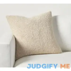 Pottery Barn Boucle Pillow & Down Insert Bundle