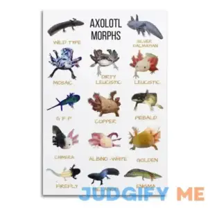 Animal Science Poster Axolotl Posters Axolotl Morphs Art Canvas Painting Posters