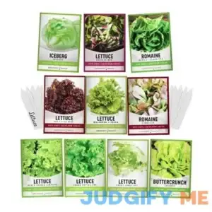 Salad Greens Lettuce Seeds Heirloom Vegetable Seed 23