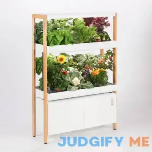 Rise Gardens The Rise Garden Hydroponic System