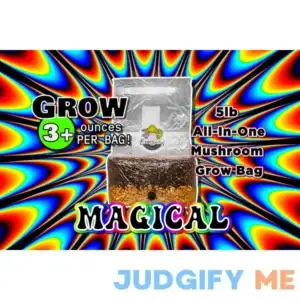 The Magical 5lb All-In-One Mushroom Grow Bag