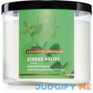 Bath & Body Works Accents Aromatherapy Eucalyptus Spearmint 3-Wick Candle